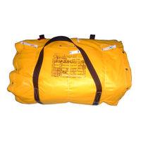 アール・エフ・ディー・ジャパン 小型船舶用膨張式救命筏　近海　収納袋入り　ＴＲＹー６Ｎ　０６６６ 6300033063 1台（直送品）