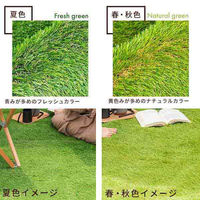 三栄コーポレーション 人工芝ロール 人工芝マット 2m×10m　芝丈35mm ナチュラルグリーン/春・秋色（直送品）