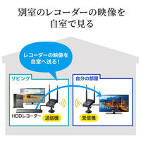 サンワサプライ ワイヤレスHDMIエクステンダー(据え置きタイプ・セットモデル) VGA-EXWHD11 1個（直送品）