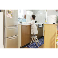 市場 キッズフォールディングステップ キャリー アイボリー ILS-3551IV 1台