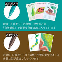 ぺんてる 小学校色えんぴつ　１２色＋３色　納品用 GCG2-12P3 3個（直送品）