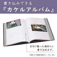 セキセイ ポストカードアルバム　ブルー XP-247P-10 2個（直送品）