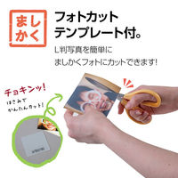 セキセイ ましかくアルバム 4P ターコイズブルー XP-8901-12 1セット(2個)（直送品）