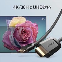 Type-C - HDMI変換ケーブル 2m HDMI[オス]-USB-C[オス] 4K30Hz HDMI1.4 CG-2038