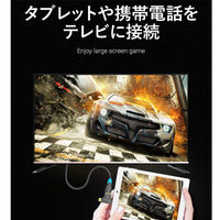 変換アダプター Mini HDMI[オス]-micro HDMI[オス]-HDMI[メス] ミニHDMI + microHDMI