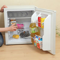 SunRuck 48L 1ドア電子冷蔵庫 冷庫さん レッド SR-R4803RD 1個（直送品）