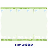 日油技研工業 ワンシールタイプ滅菌バッグ 150×250mm TS-3003C250 1箱(800枚) 2-1949-09（直送品）