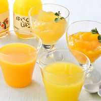 AoyamaLab オンラインギフト URLですぐ納品 贈り物や景品に 和歌山 伊藤農園 柑橘ジュース＆寒天ジュレセット メール1通（直送品）