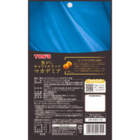 焦がしキャラメルナッツ マカデミア 2袋 東洋ナッツ食品 ナッツ おつまみ