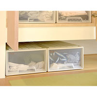 サンコープラスチック Think 衣装ケース 補強枠付き LM ソフトベージュ(セット販売：2個) 4547883510432（直送品）