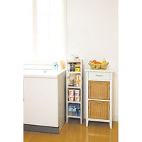 サンコープラスチック eラック SS ベージュ(セット販売:10個) 4973230431172 1セット(10個)（直送品）