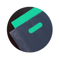 ササガワ カラーポリネイビー300×450B4用 50-1881 1セット(2包)（直送品）