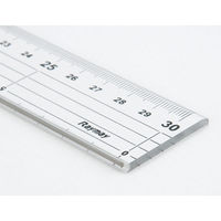 レイメイ藤井 カッティング定規30cm ACJ2005 1セット(10本)（直送品）
