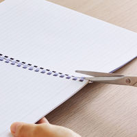 リヒトラブ ソフィーチェノート N3103-12 1セット(10冊)（直送品）