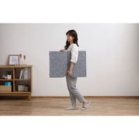 アイリスオーヤマ リモートワークパーティション RWP-7050 1枚（直送品）