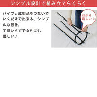 第一ビニール 組立かんたんローズオベリスク170cm 4968438020396 1個