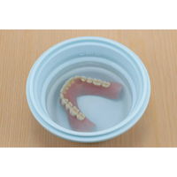 【入れ歯ケース】 下村企販 入れ歯 スリムにたためる 入れ歯ケース 258472 1個（直送品）