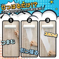 レック 激落ちくん 切れてる 粘着テープ スペア 377025 1個