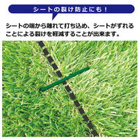 第一ビニール 人工芝押さえピンワイド 10本入 4968438021645 1セット(5個)（直送品）