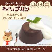 【ワゴンセール】バランス やさしく・おいしく チョコっとプリン 1セット（150g×5袋）プリンの素