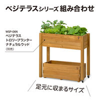 タカショー ベジテラスプランター ナチュラルウッド WSP-05N 1個（直送品）