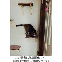 和気産業 敷くだけ簡単 洗える階段カーペット ベージュ 45×22mm 15枚 WK001 1セット(15枚)（直送品）