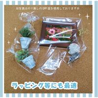 アイ・エス OPP袋 シールなし W105×H160mm 写真L版サイズ 100枚入り OPP-20 1パック