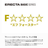 【軒先渡し】エレクター　ベーシックシリーズ　ウッドシェルフ棚用　幅900×奥行600mmシルバー枠・ブラック B2436MBS1 1枚（直送品）