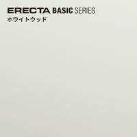 【軒先渡し】エレクター　ベーシックシリーズ　ウッドシェルフ天板用　幅1200×奥行600mmホワイト・ホワイト B2448MWHWD1 1枚（直送品）