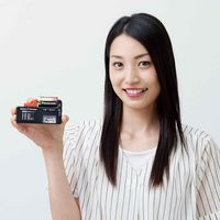 アイメディア 電池チェッカー アナログ 電源不要 電池 乾電池 337558 1個（直送品）