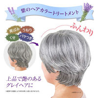 コモライフ ビューナ プラチナカラートリートメント 391372 1本入（直送品）