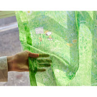 スミノエ PEANUTS レースカーテン フィールドボイル 1000×1760mm グリーン 4549781291444 1枚（直送品）