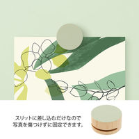 木製 ピクチャークリップ 3個入 グリーン 35496006 1パック デザインフィル（直送品）