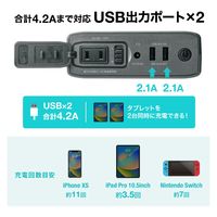 サンワサプライ AC出力付モバイルバッテリー(AC80W出力対応) BTL-RDC25 1台（直送品）