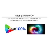 31.5インチ ワイド液晶ディスプレイ(3840x2160/IPS/HDMIx3/DP/スピーカー/チルト/非光沢) JN-IPS315UHDR 1個
