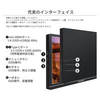 JAPANNEXT 10.1インチ ワイドモバイルディスプレイ JN-MD-IPS1012HDR 1個