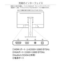 ジャパンネクスト 23.8インチ 液晶ディスプレイ JN-HSP238IPSFHD 1個（直送品）