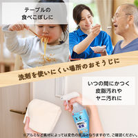 ナチュラルクリーニング 激落ちくん 重曹スプレー 詰め替え 特大 1L 1個 レック