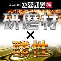 茂木和哉 極 水垢洗剤 1個 レック