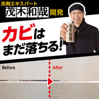 茂木和哉 カビとりジェル ゴムパッキン・タイル目地用 200g 1セット（2個） レック
