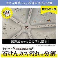 Lec.Be（レックビー） 激落ちくん 石けんカスを分解する洗濯槽クリーナー 1回分 400g 1セット（6個） レック