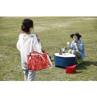 イケックス工業 保冷バッグ ショルダーベルト付き 保冷 クーラーバッグ ソフト ネコ 306389 1個