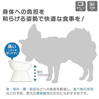 スケーター ペット用食器 超小型犬用 陶器 ミント 381191 1個（直送品）