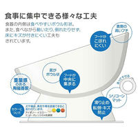 スケーター ペット用食器 短頭犬用 陶器 オレンジ 381198 1個（直送品）