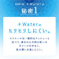 保湿ポケットティッシュ　エリエール+Water　14組　1箱（14個入）　大王製紙　ローションティッシュ