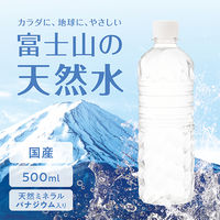アイリスフーズ株式会社 富士山の天然水 ラベルレス 500ml 1セット（48本）