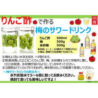 内堀醸造 純りんご酢 500ml×2個 4970285850132 1箱(2個)（直送品）