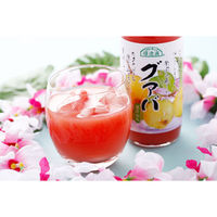 マルカイコーポレーション 順造選 グァバ 180ml×20個 4993199100940 1箱(20個)（直送品）