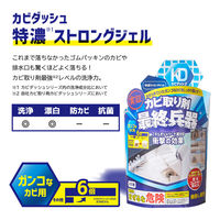 リベルタ カビダッシュ 特濃ストロングジェル×5個 4533213683426 1箱(5個)（直送品）