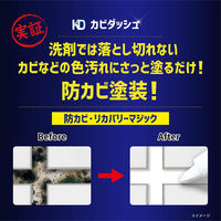 リベルタ カビダッシュ リカバリーマジック ホワイト×5個 4533213682450 1箱(5個)（直送品）